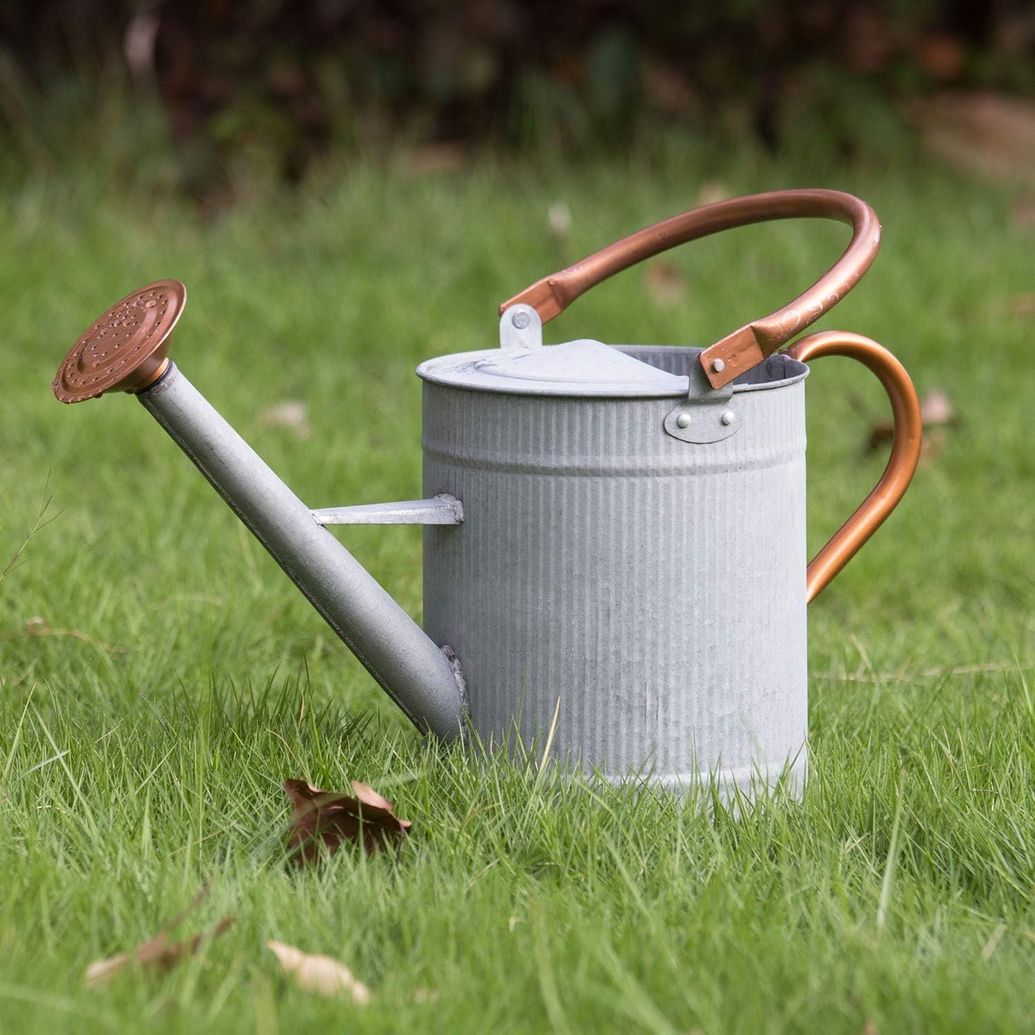1 Gallon Watering Can, Metal Watering Can with Removable Spout,