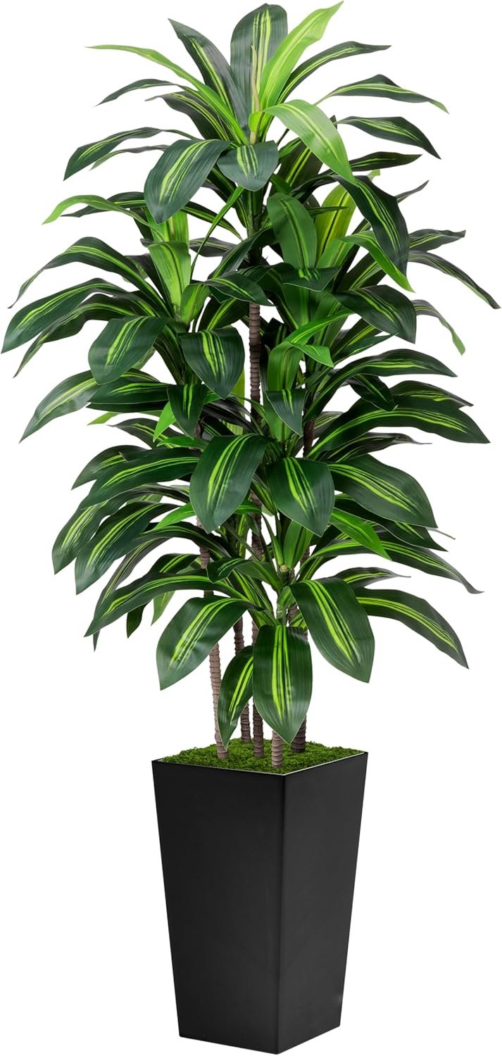 Artificial Dracaena Tree 5FT - Fake Tree with Black Tall