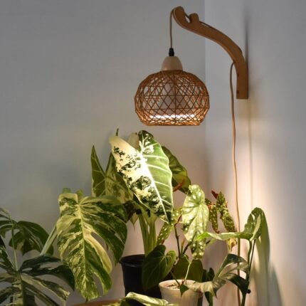Bstrip Hanging Grow Lights for Indoor Plants, 18W Full Spectrum Plant Light, Boho Rattan Lantern Shade, 3800K Wall-Mounted Decorative Grow Light with 9.8FT Power Cord for Indoor Plant Growing, Flowers