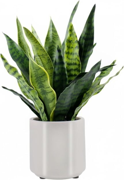 Fake Snake Plant 22" Tall, Real Touch Leaves, Artificial Plants Indoor with Pot for Home Office Decor