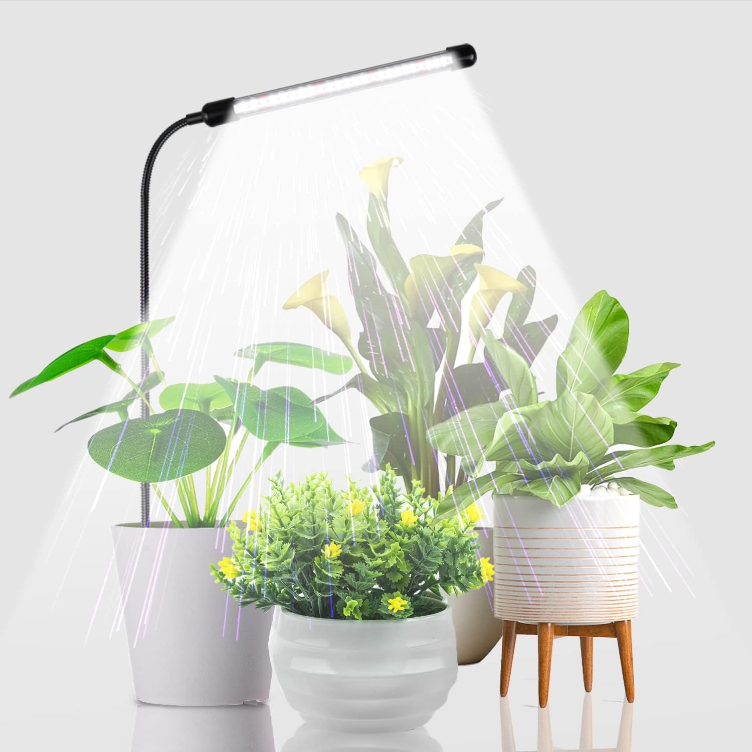 Grow Light for Indoor Plants Growing, 6000K Full Spectrum Gooseneck