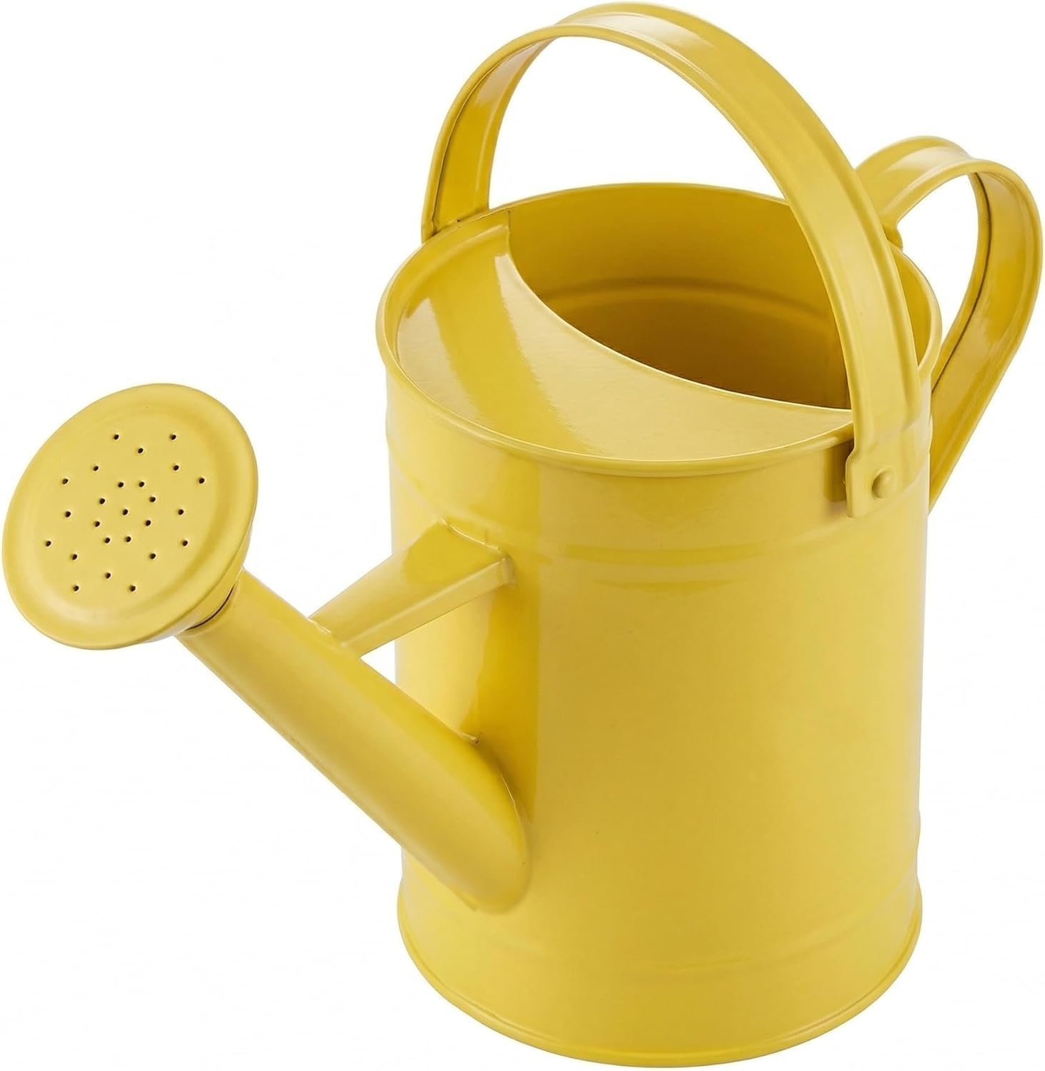 Topadorn Watering Can for Plants, 55 Oz Metal Watering Can