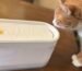Best Cat Water Fountains of 2026: High-Tech Hydration