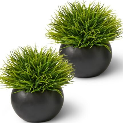 Fake Succulents Plants Artificial in Premium Ceramic Pots (2 Pack Round) Realistic Faux Succulents for Bathroom, Home & Office Décor