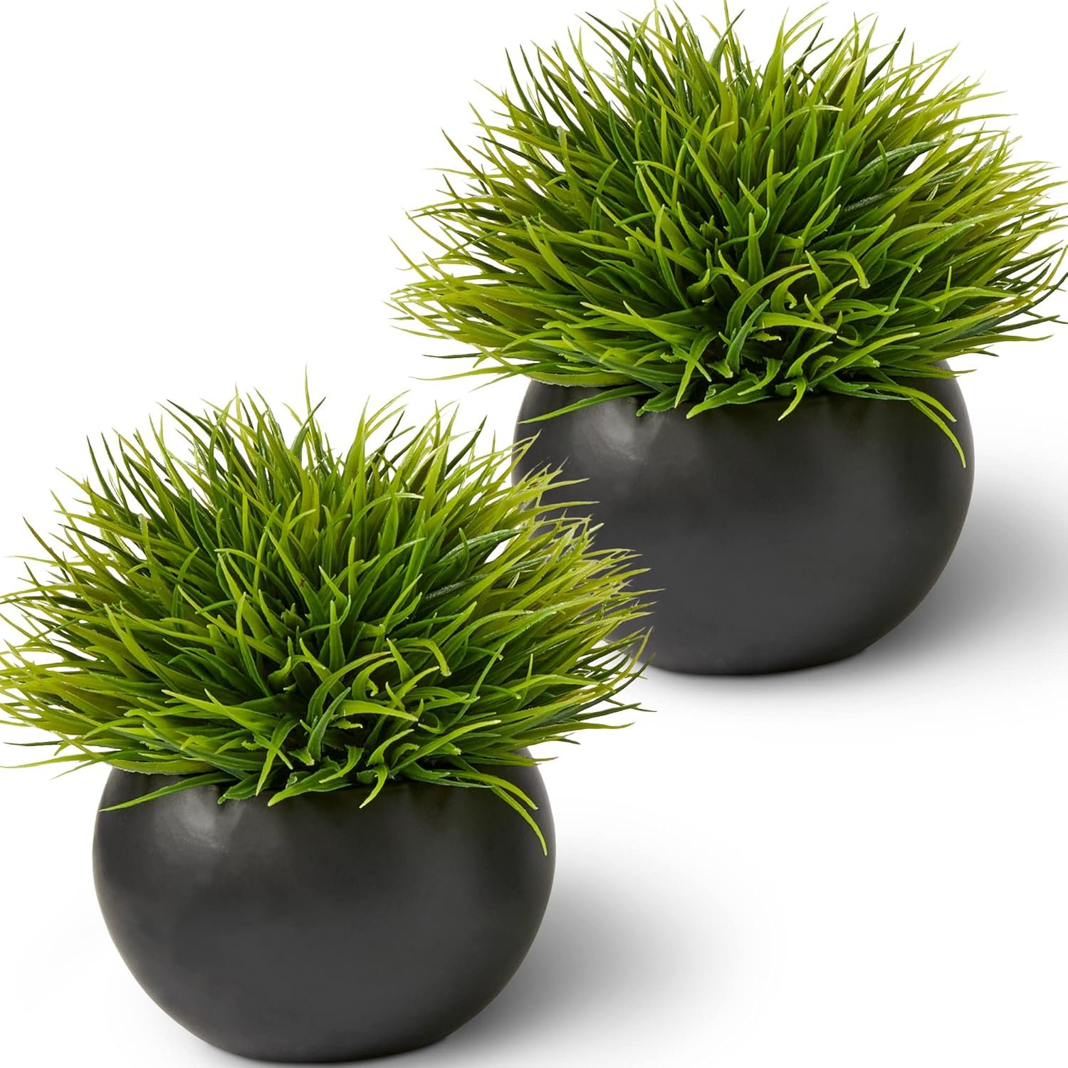 Fake Succulents Plants Artificial in Premium Ceramic Pots (2 Pack