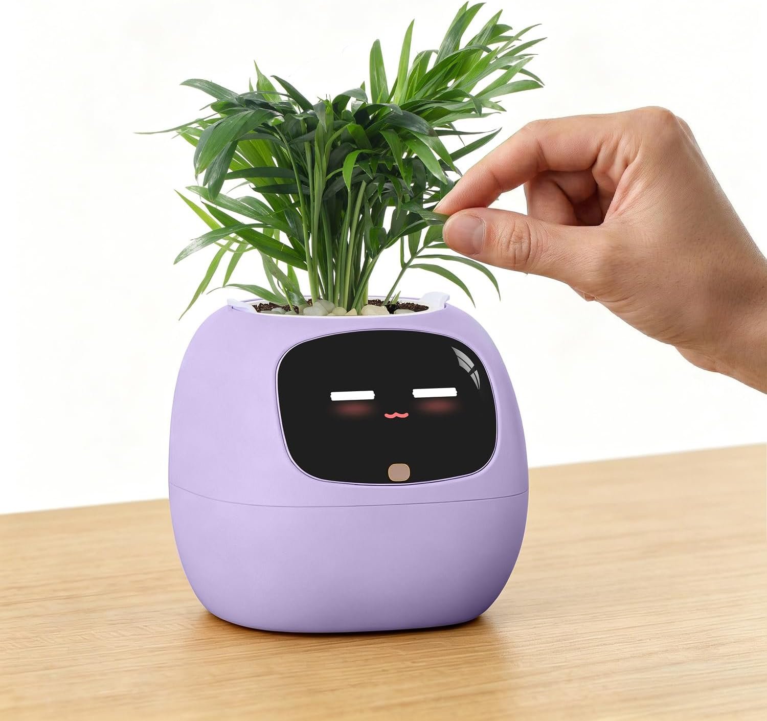 PLANTSIO Ivy Interactive AI Desk Companion, Smart Plant Pet with
