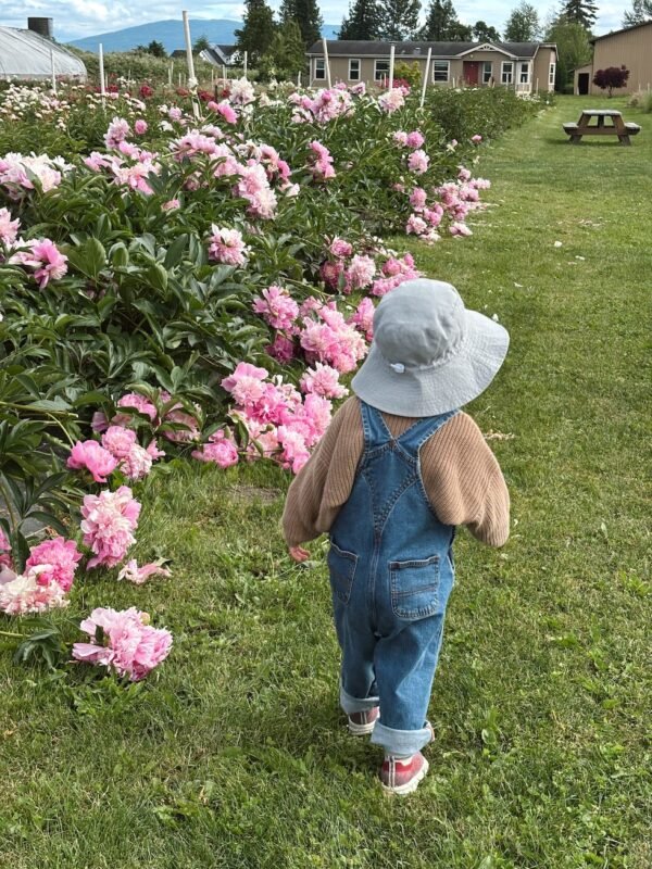 Peonies in the Kitchen + An Adventure to a Peony Farm!