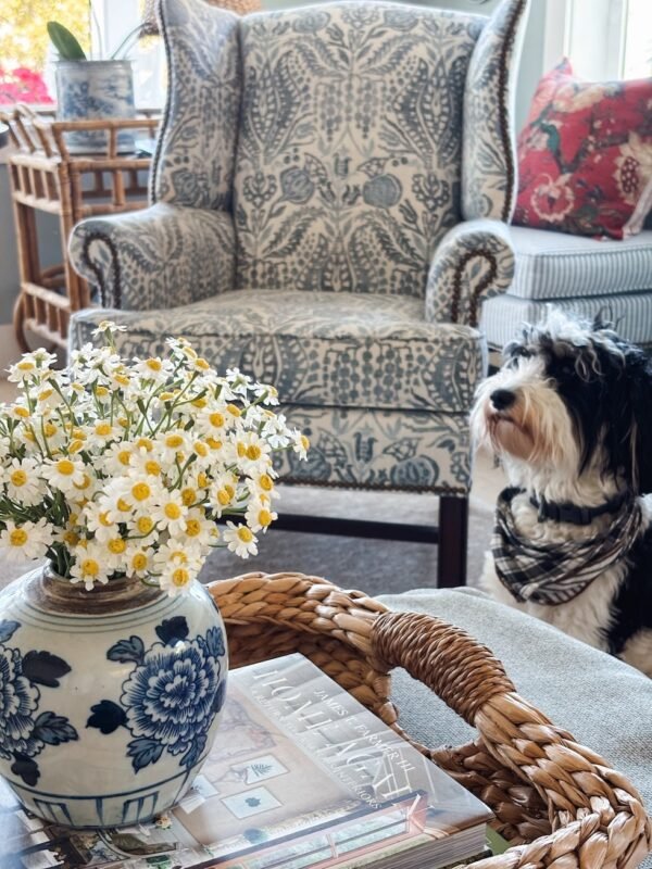 Summer Decor Shop 2026 + Mood Boards