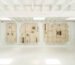 These Cabinets of Curiosity Are at Once Primeval and Present-Day