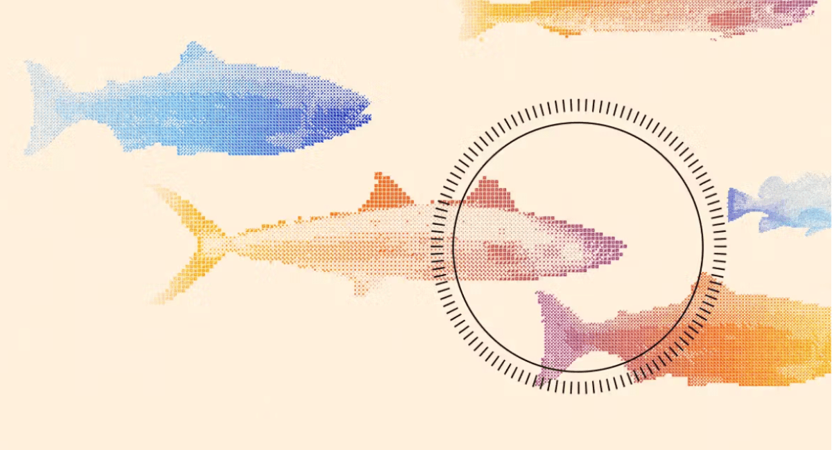 This startup built a fish-killing robot and chefs love the results