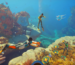 Krafton settles with Subnautica 2 developer after drawn-out dispute over $250 million