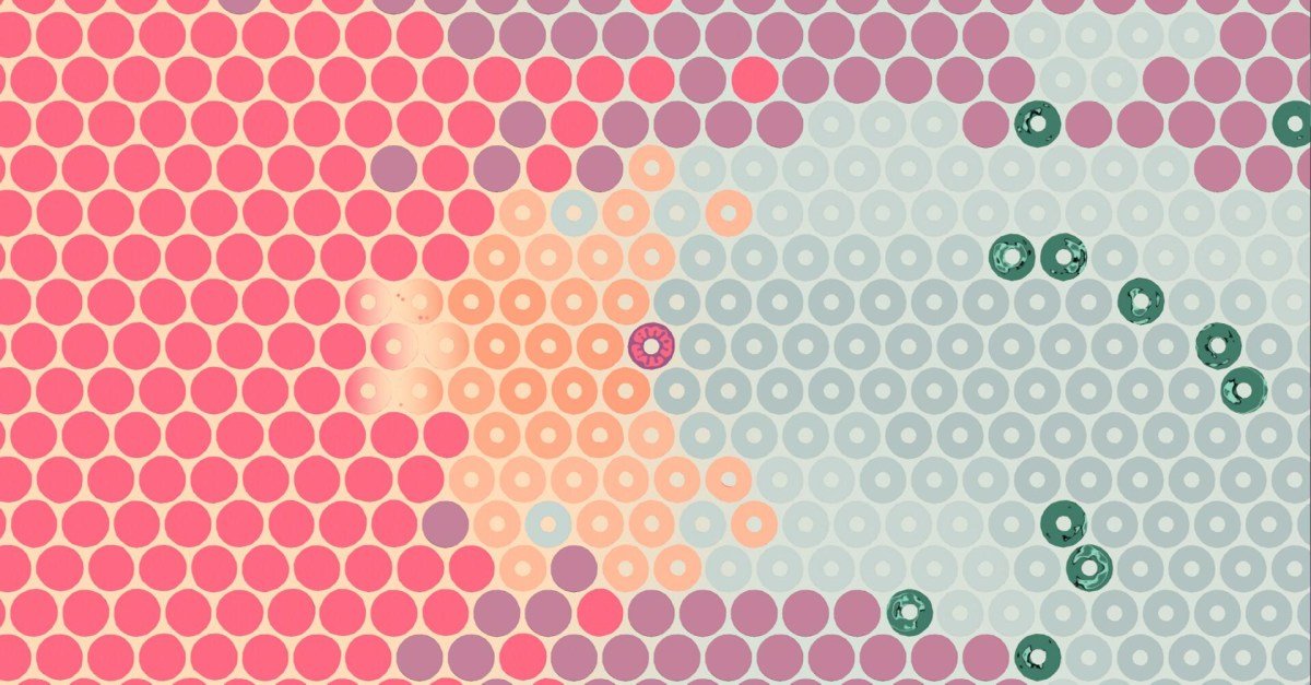 What Surrounds Us will make you think a lot about circles