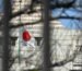 a Japanese flag fluttering in the wind in the distance in front of a building in Tokyo