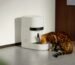 Cats and dogs are missing meals after a popular smart feeder went down