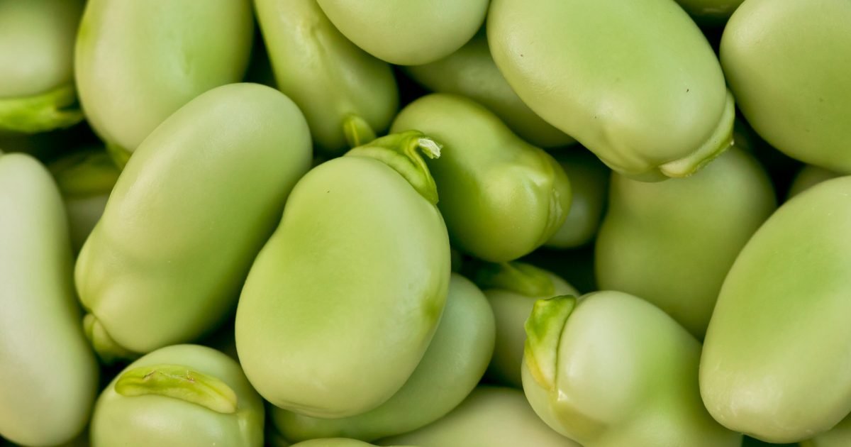 How to cook broad beans