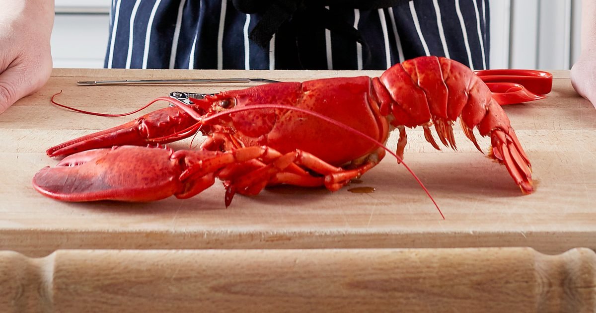 The ultimate guide to lobster